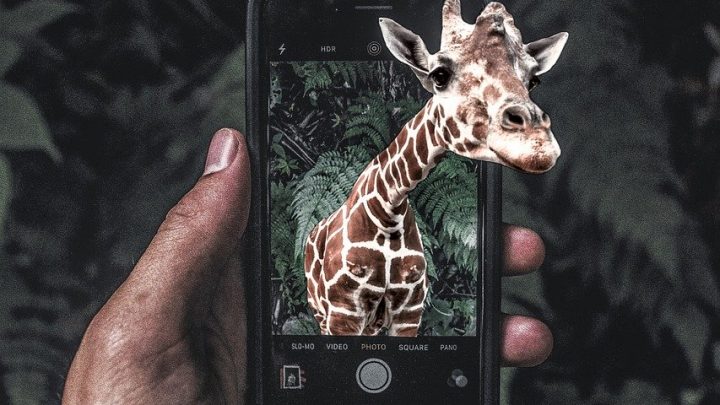 Dlaczego warto zdecydować się na wysyłkowy serwis telefonów?